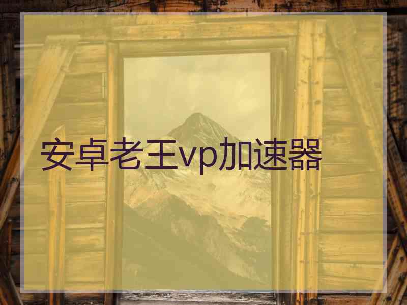 安卓老王vp加速器