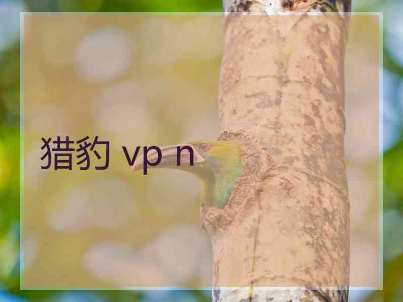 猎豹 vp n