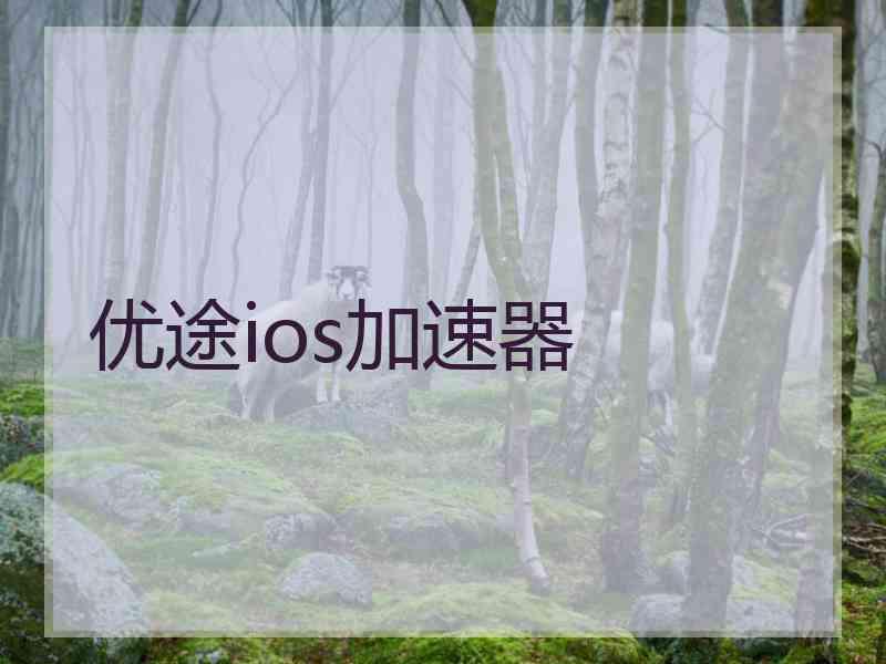 优途ios加速器
