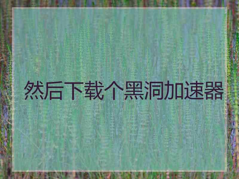 然后下载个黑洞加速器