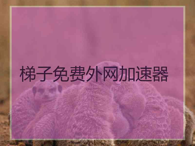 梯子免费外网加速器