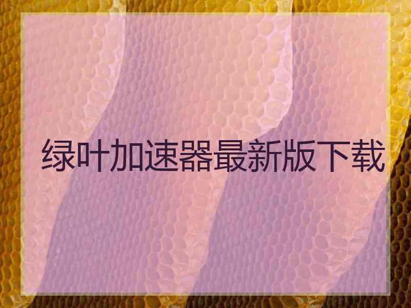 绿叶加速器最新版下载