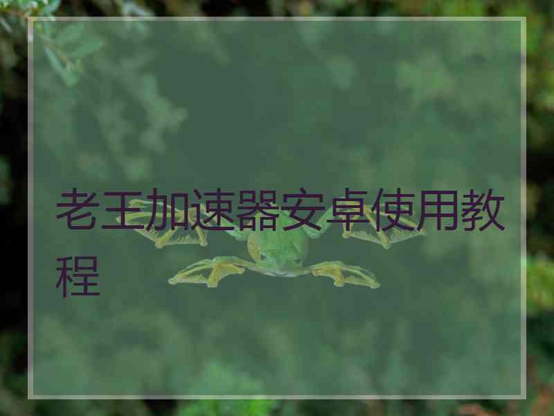 老王加速器安卓使用教程