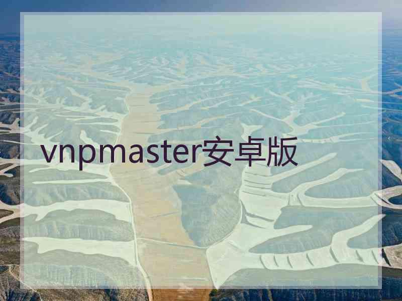vnpmaster安卓版