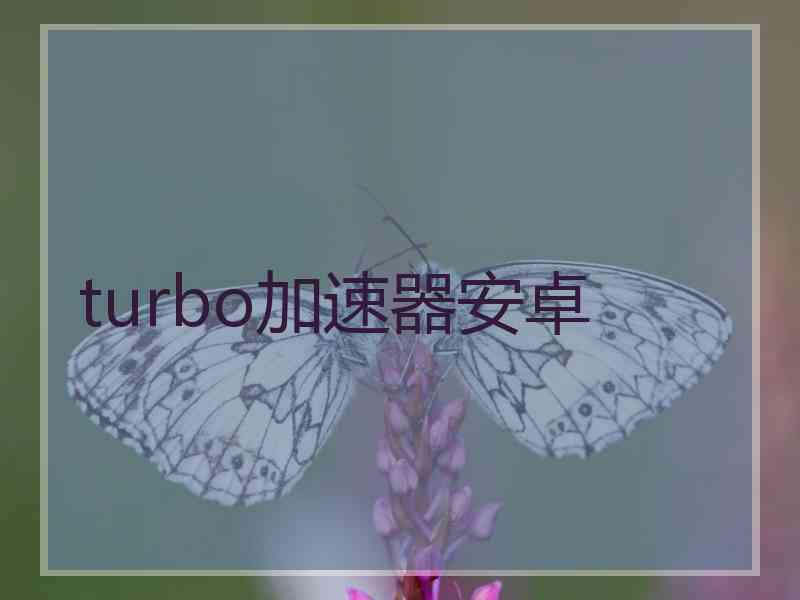 turbo加速器安卓
