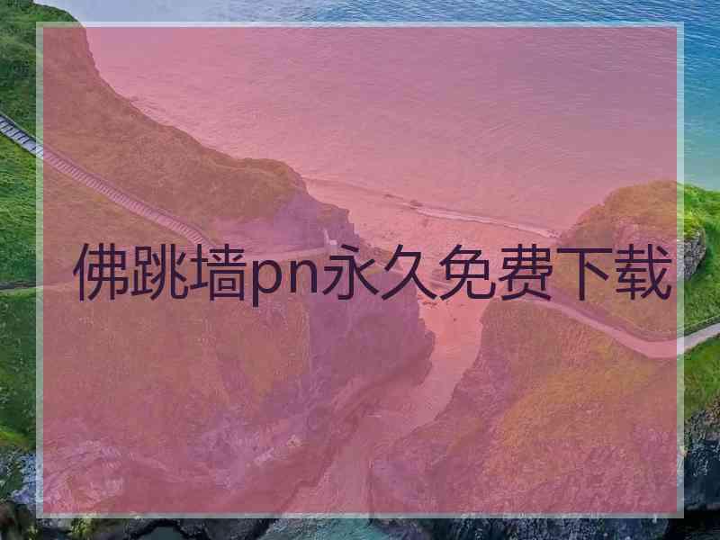 佛跳墙pn永久免费下载