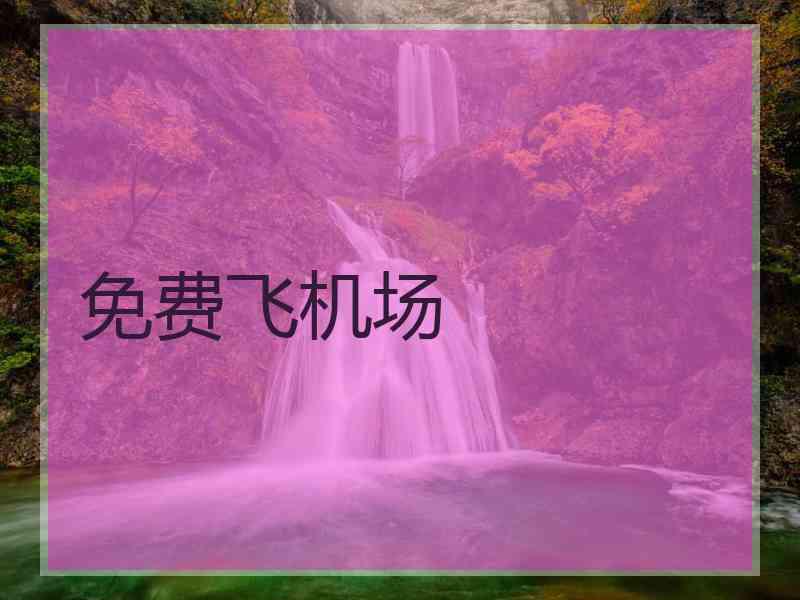 免费飞机场