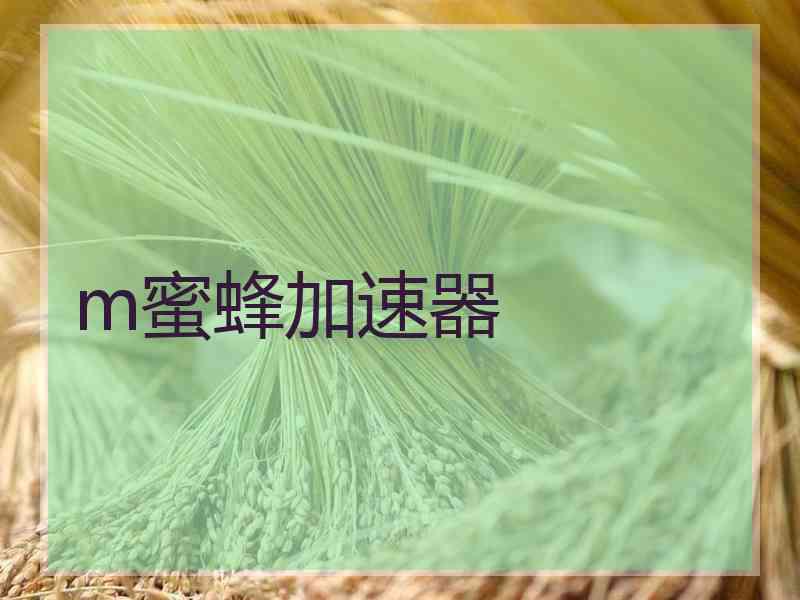m蜜蜂加速器