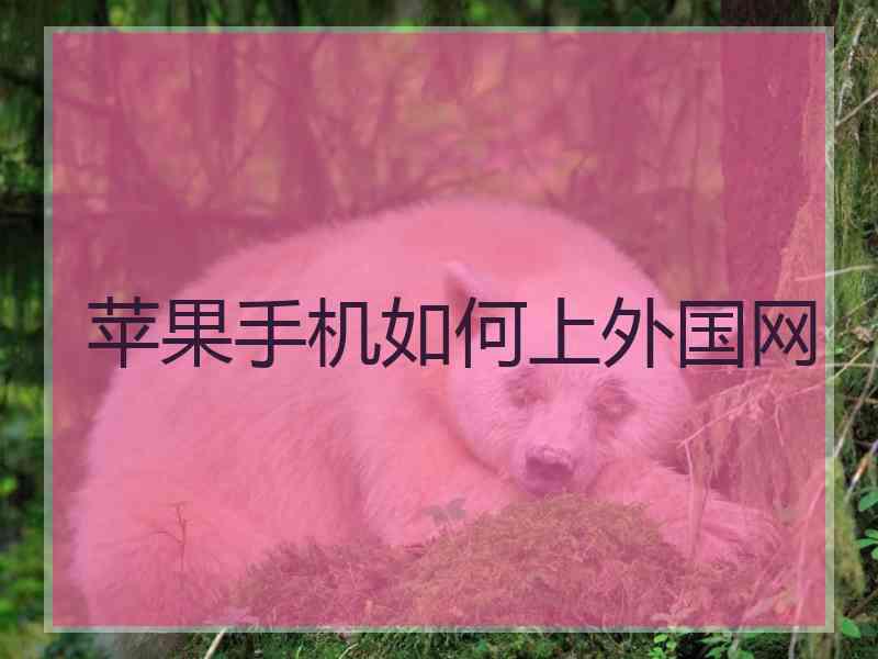 苹果手机如何上外国网