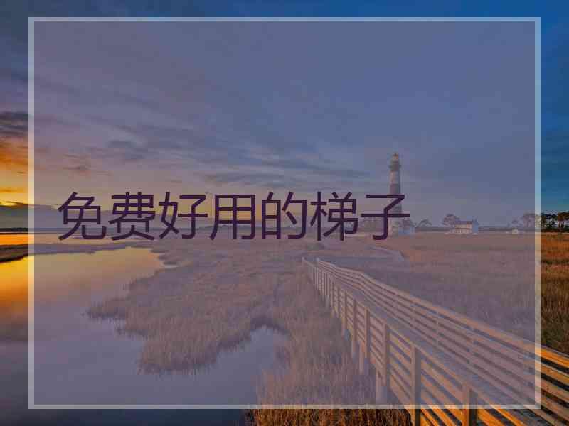 免费好用的梯子