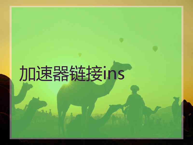 加速器链接ins