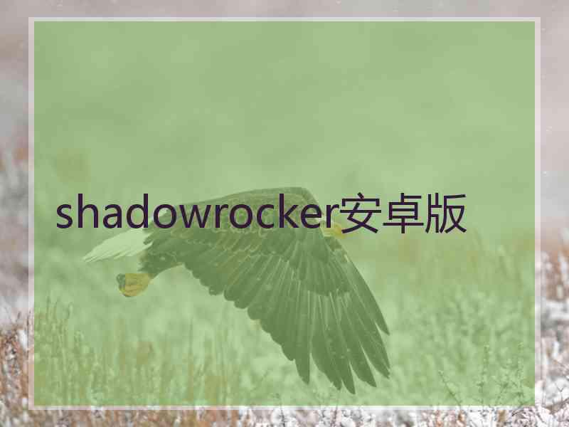 shadowrocker安卓版