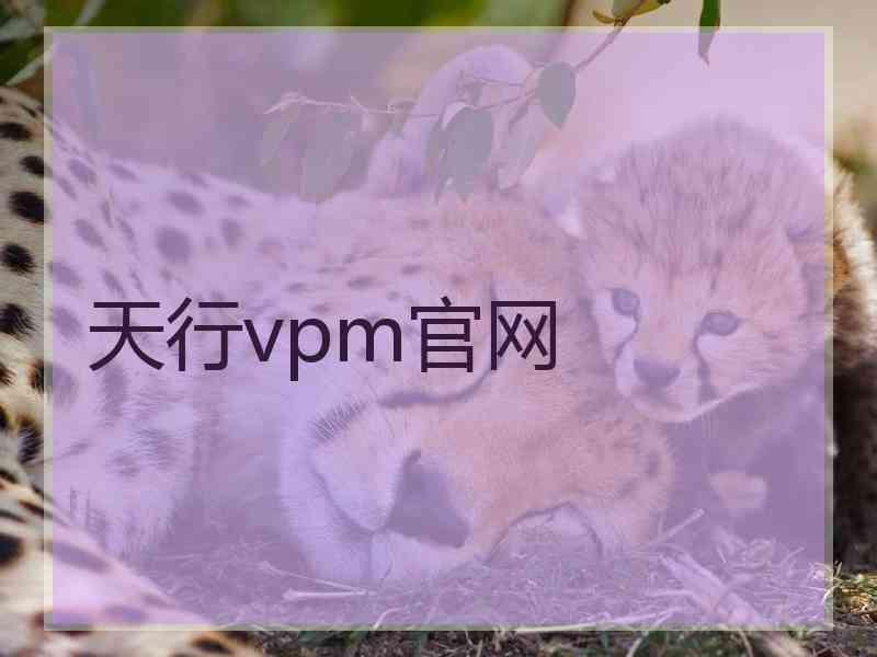 天行vpm官网