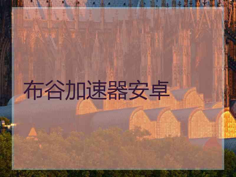 布谷加速器安卓