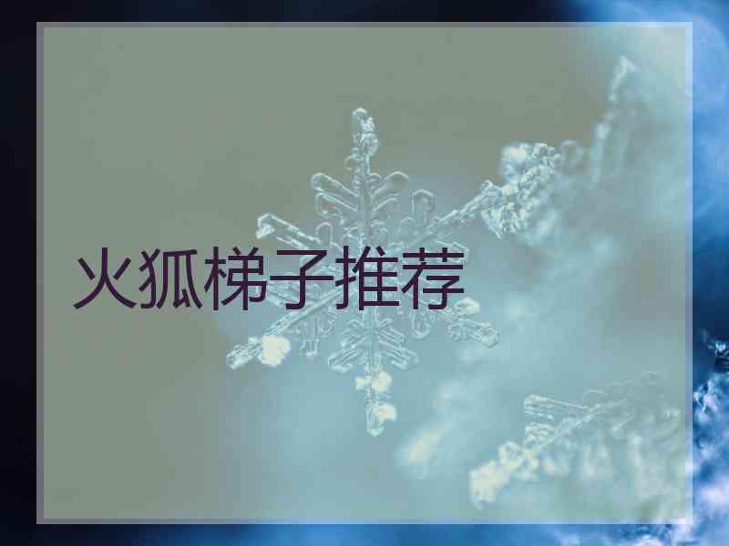 火狐梯子推荐