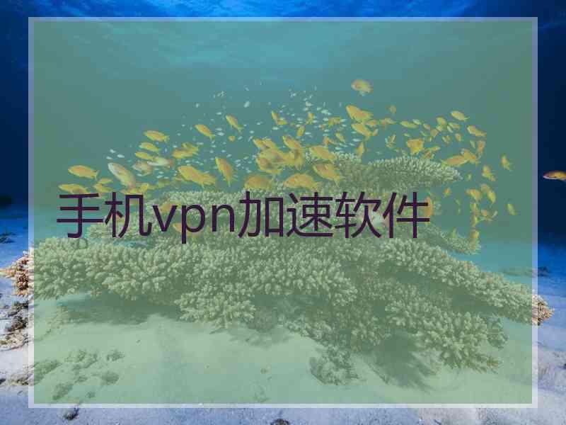 手机vpn加速软件
