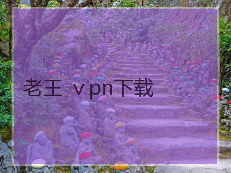 老王 ⅴpn下载