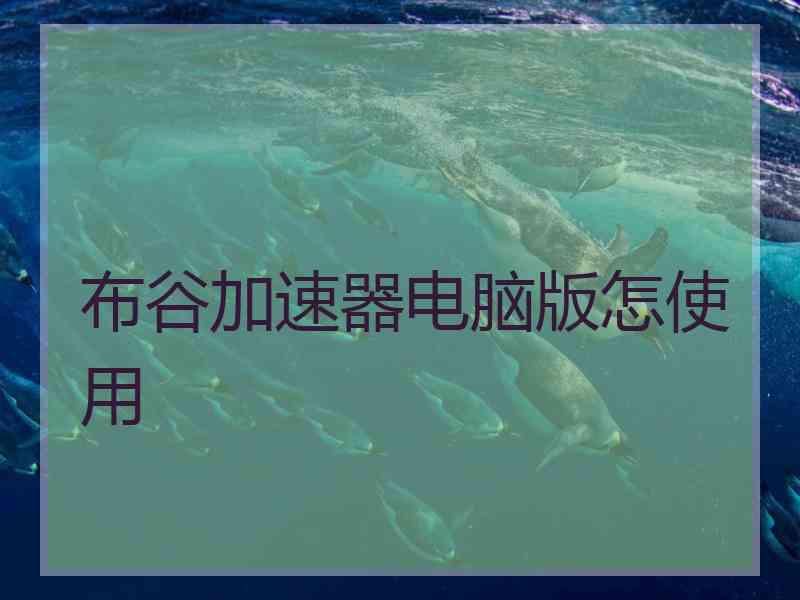 布谷加速器电脑版怎使用