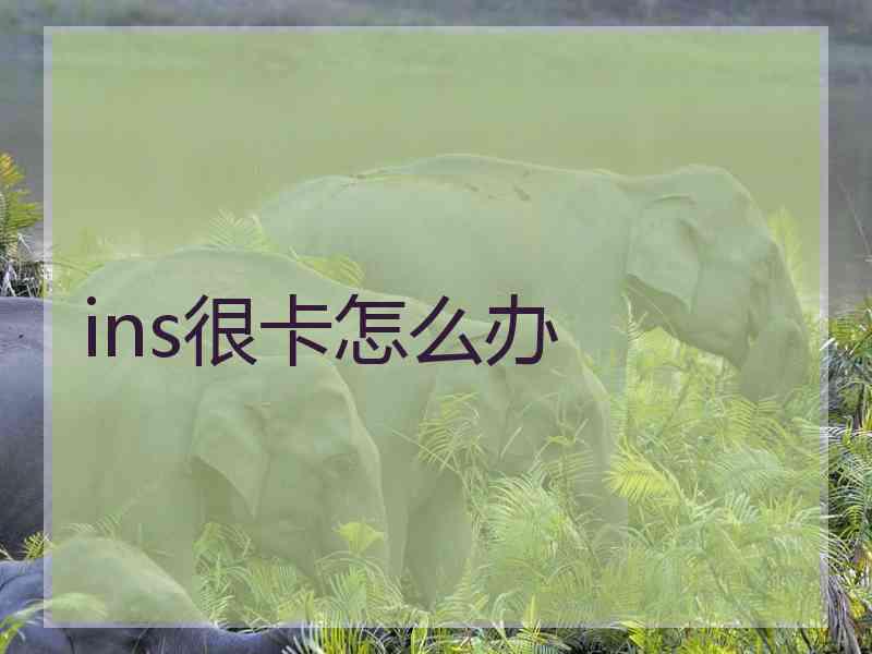 ins很卡怎么办