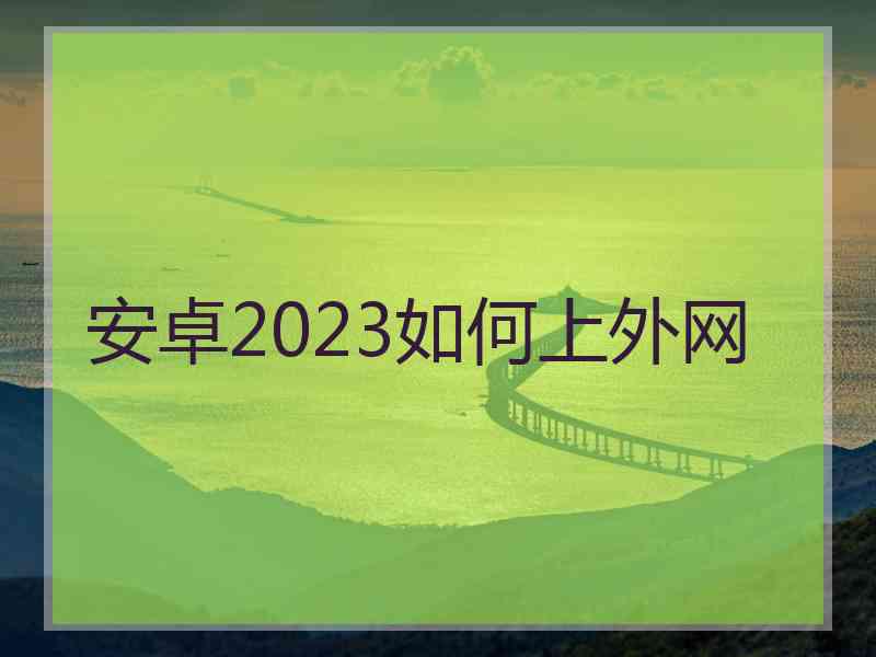 安卓2023如何上外网