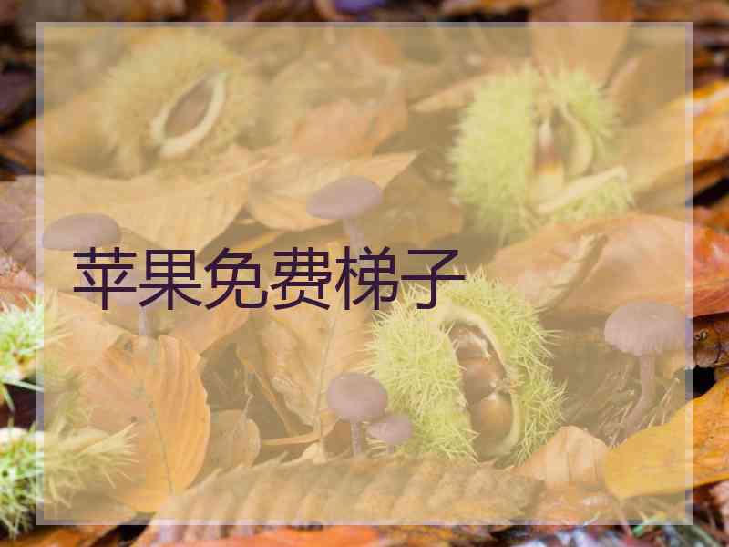 苹果免费梯子