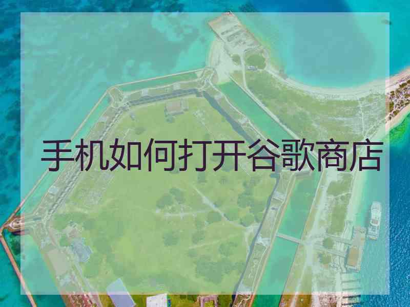 手机如何打开谷歌商店