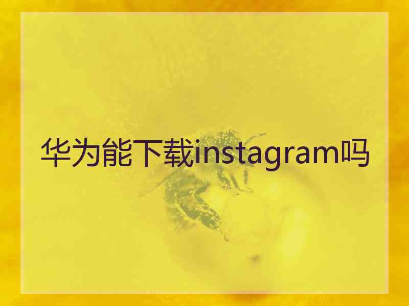 华为能下载instagram吗