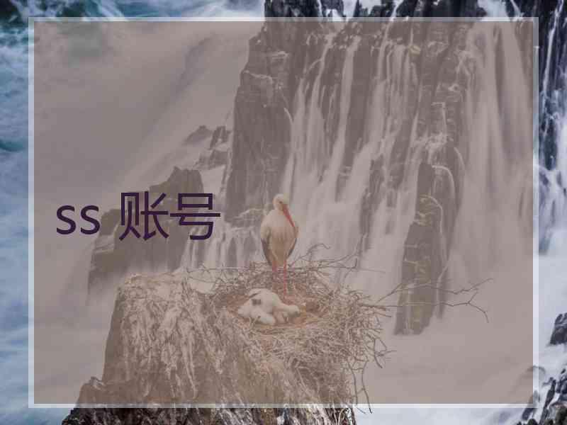 ss 账号