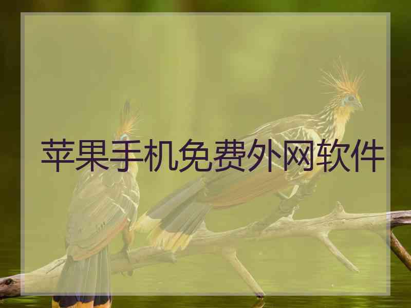 苹果手机免费外网软件