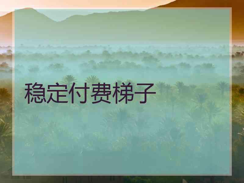 稳定付费梯子
