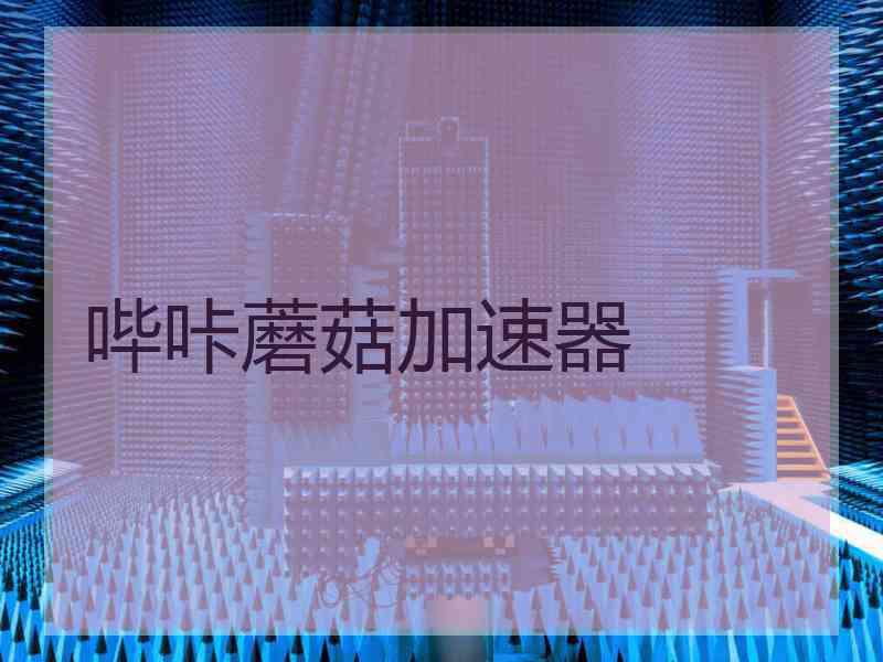 哔咔蘑菇加速器
