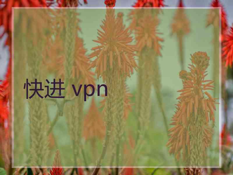 快进 vpn