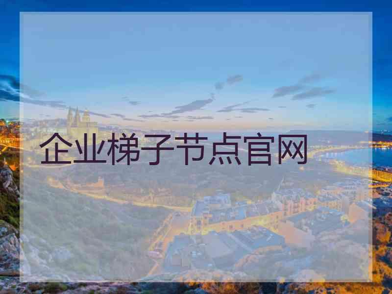 企业梯子节点官网