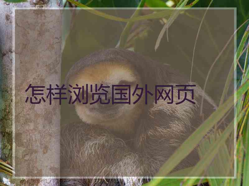 怎样浏览国外网页