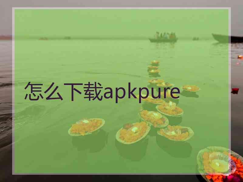 怎么下载apkpure