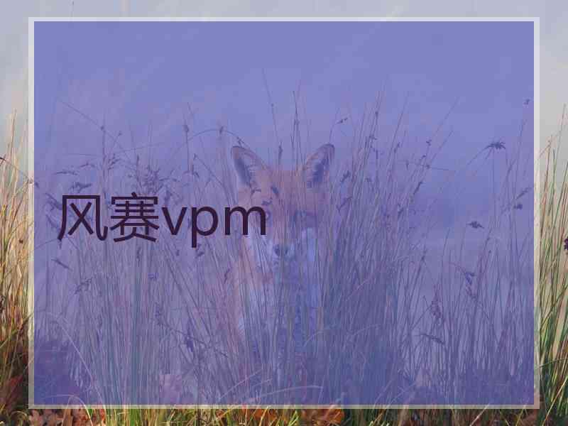 风赛vpm