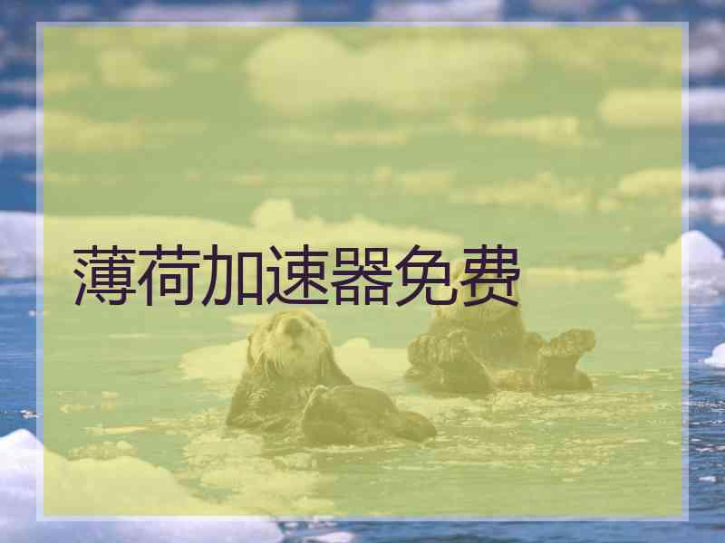 薄荷加速器免费