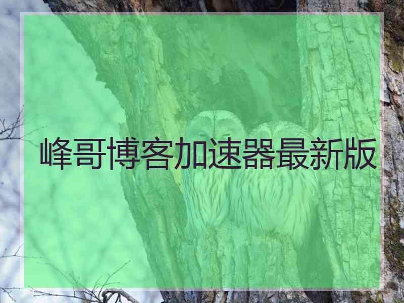 峰哥博客加速器最新版