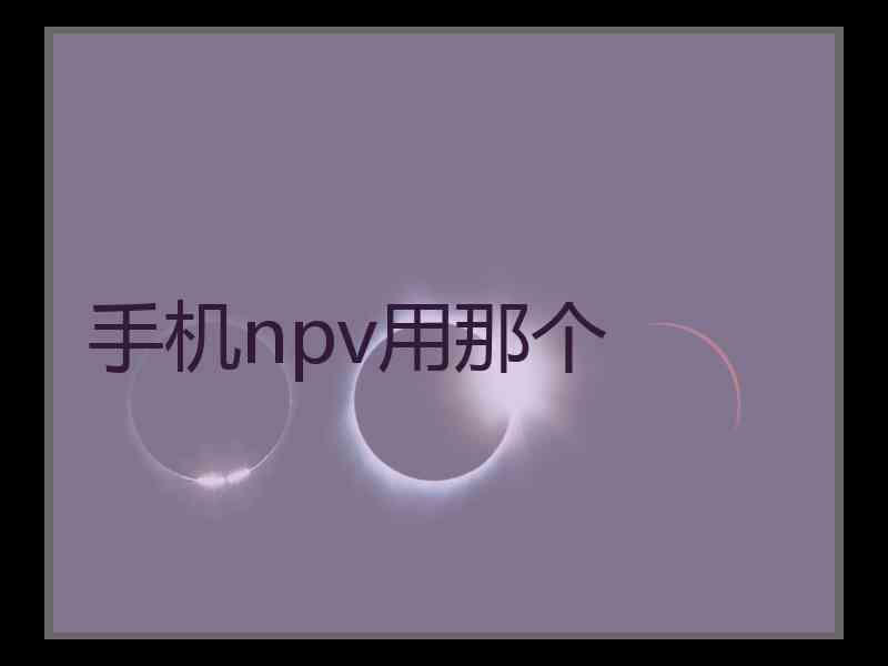 手机npv用那个