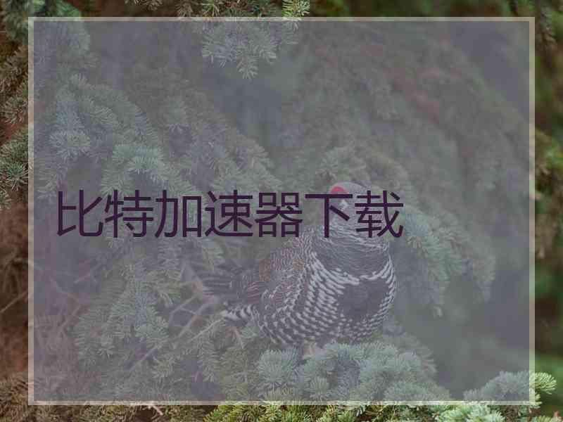 比特加速器下载