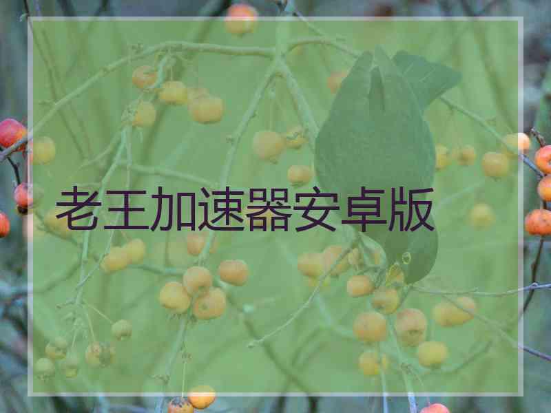 老王加速器安卓版