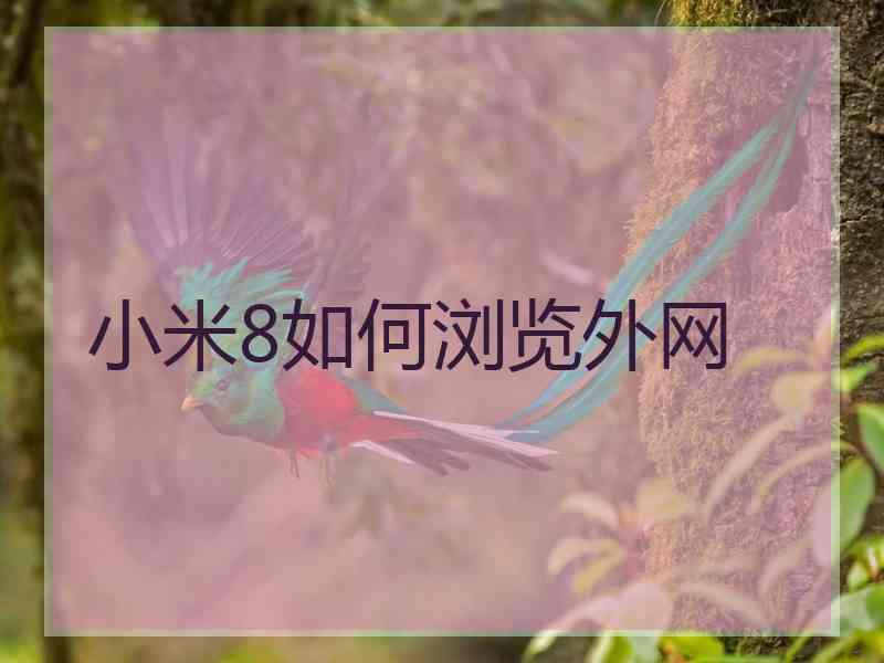 小米8如何浏览外网