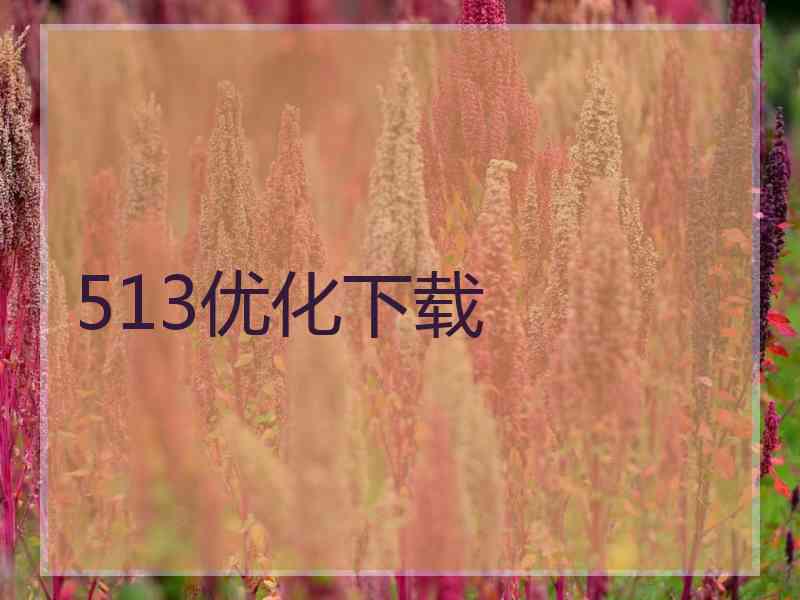 513优化下载