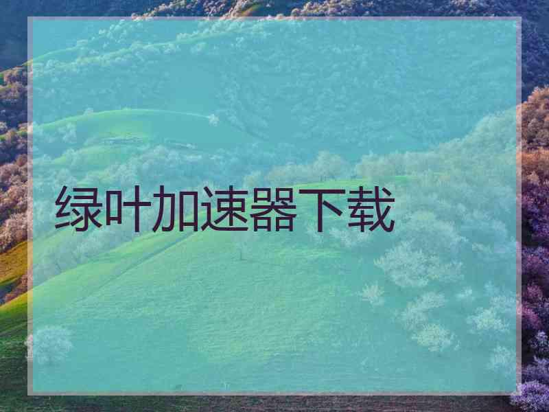 绿叶加速器下载