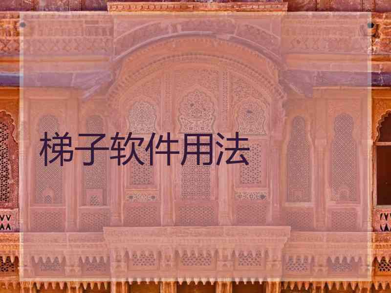 梯子软件用法