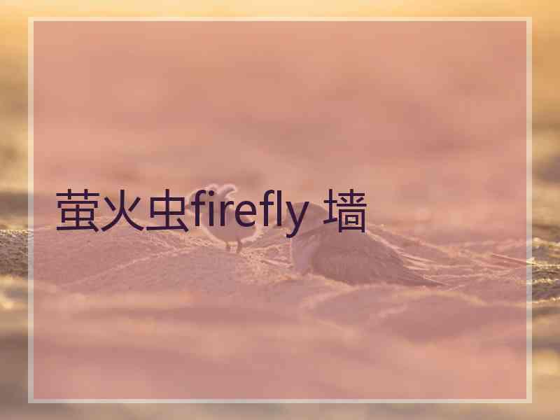 萤火虫firefly 墙