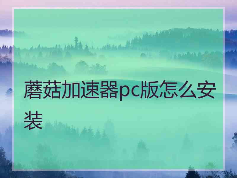 蘑菇加速器pc版怎么安装