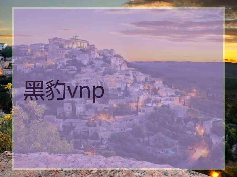 黑豹vnp
