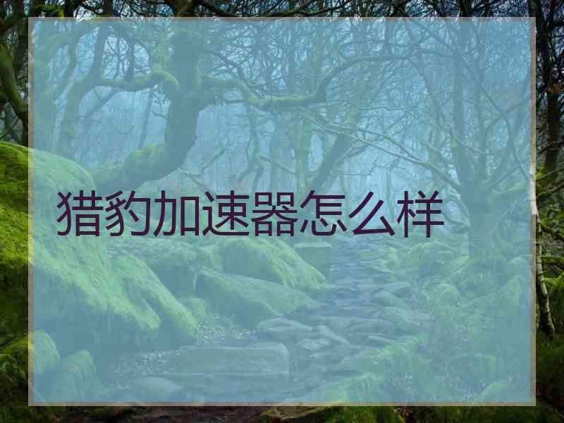 猎豹加速器怎么样