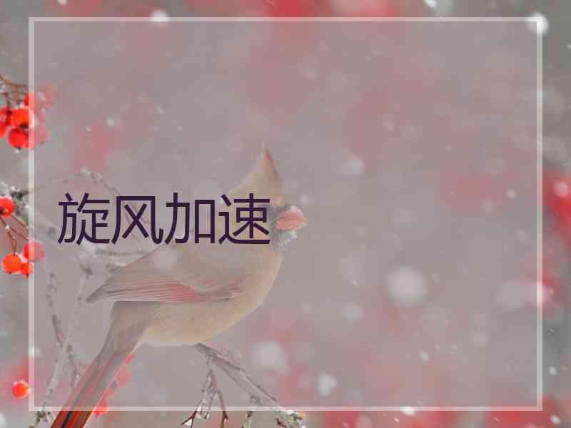 旋风加速